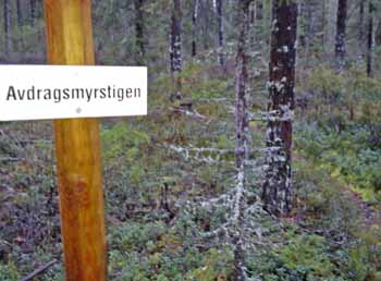 Avdragsmyrstigen